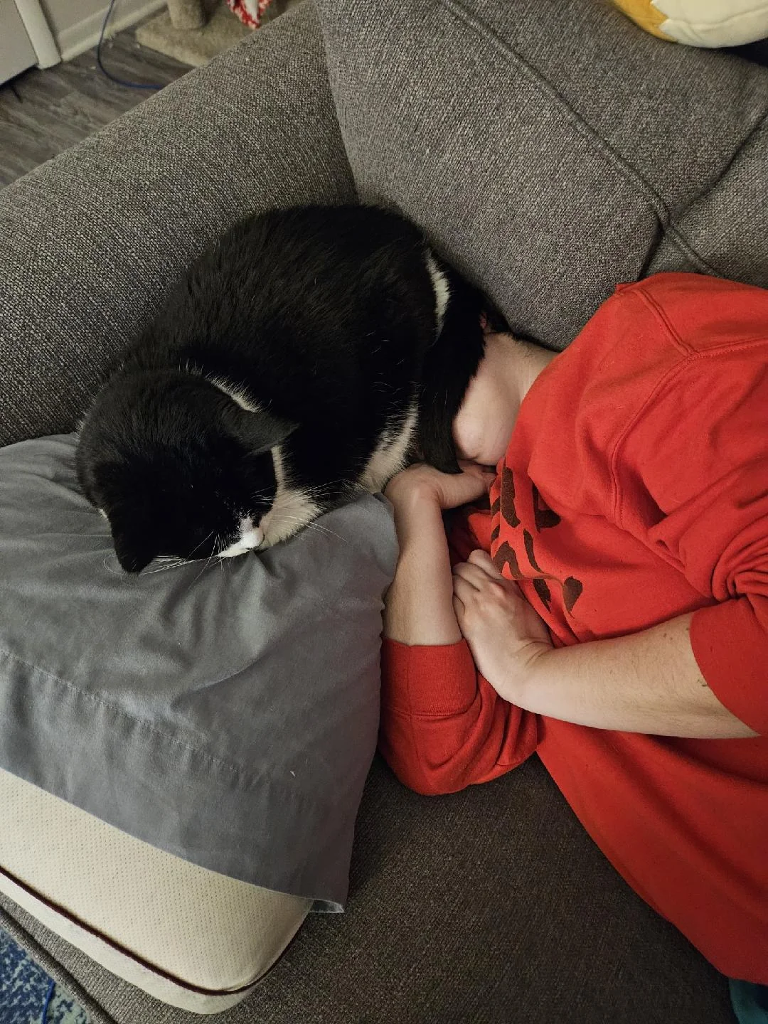 There's no such thing as personal space when you have a cat