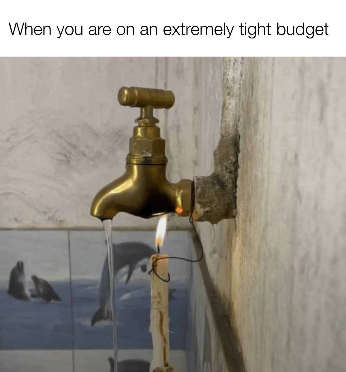 26 Memes That’ll Drag You into a Rabbit Hole of Laughter 22 Tight budget