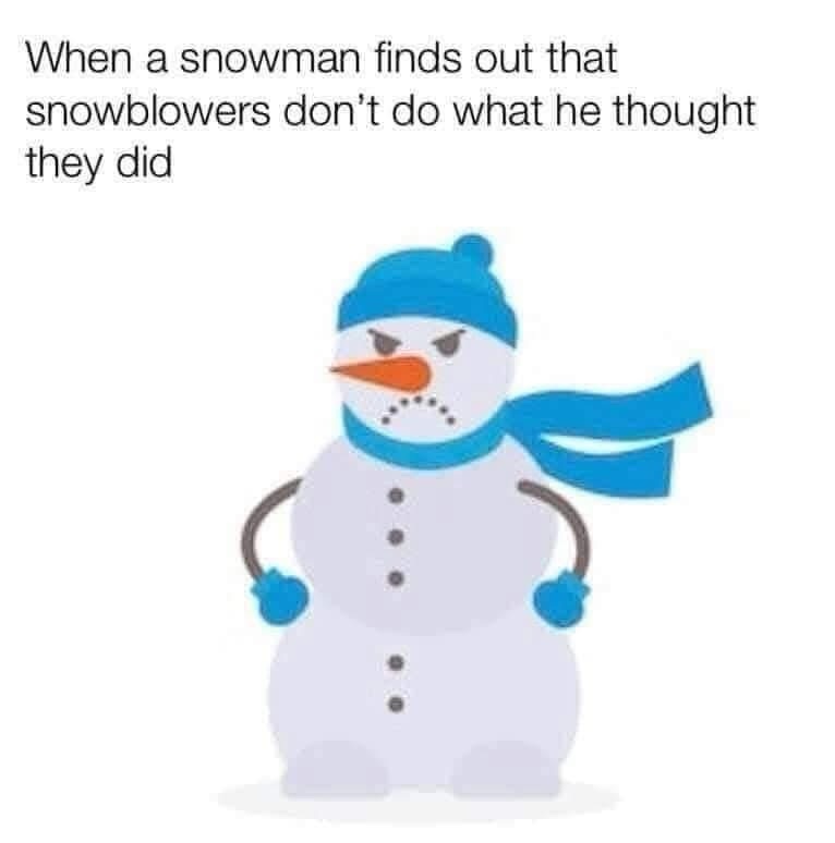 20 Memes That’ll Make Your Stomach Hurt (From Laughing, Not Tacos) 17 WHen a snow man finds out