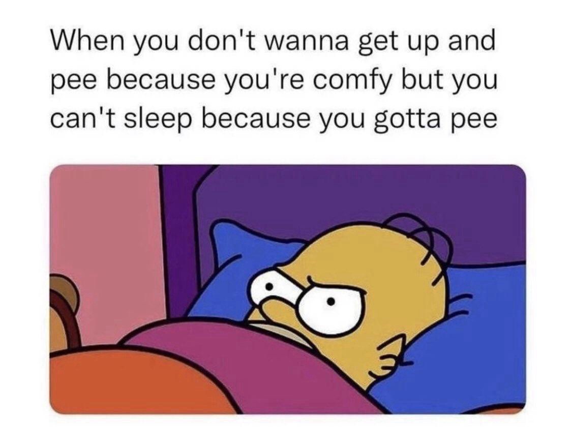 20 Memes That Are the Answer to Your Boredom 16 WHen you dont wanna get up