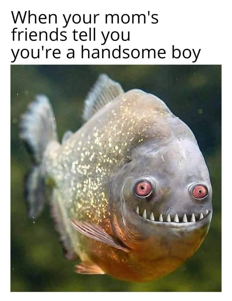 20 Slightly Dirty Memes That’ll Make You Rethink Your Innocence 18 WHen your moms friend - Slightly Dirty Memes