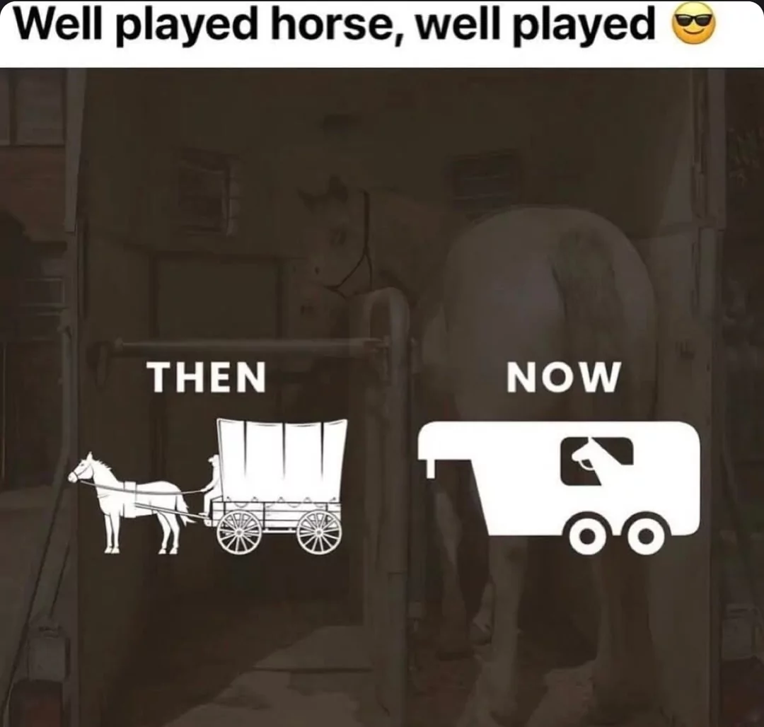 Well played horse