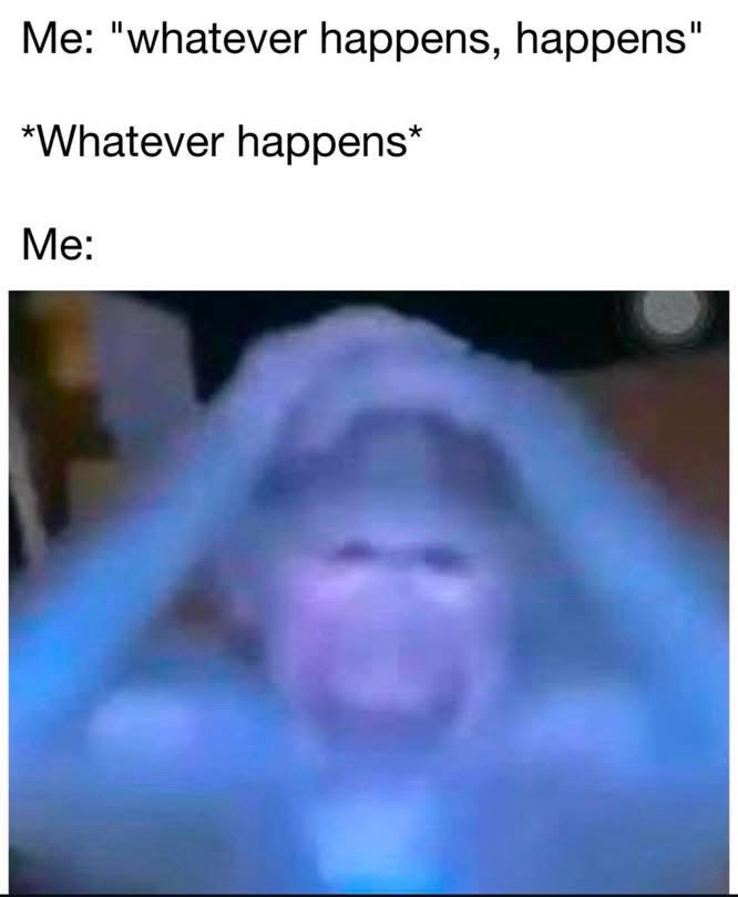20 Memes That’ll Make You Wonder If They’re About You 17 Whatever happens