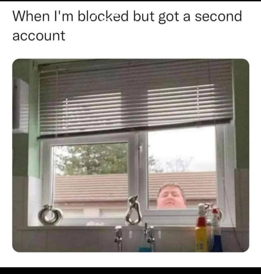 20 Memes That Are the Perfect Mix of Dumb and Brilliant 18 Whem Im blocked out