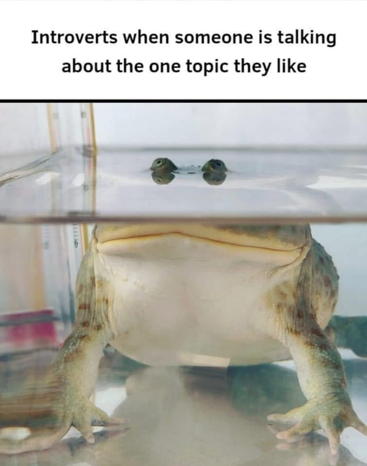 26 Memes That Are the Wildest Ride Your Sense of Humor Has Ever Taken 25 When someone is talking