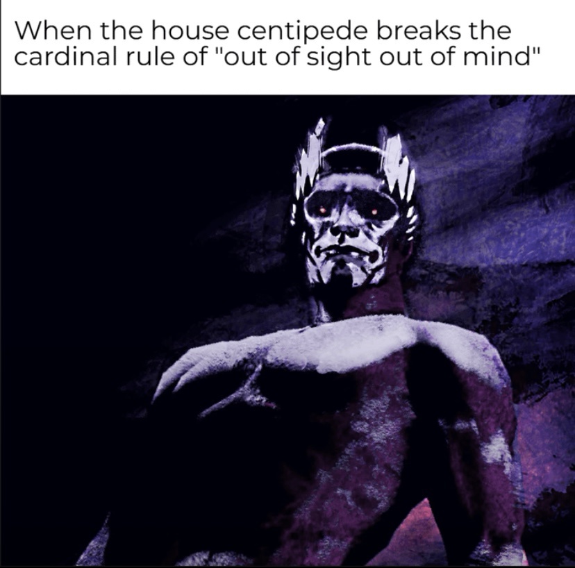 When the house centipied