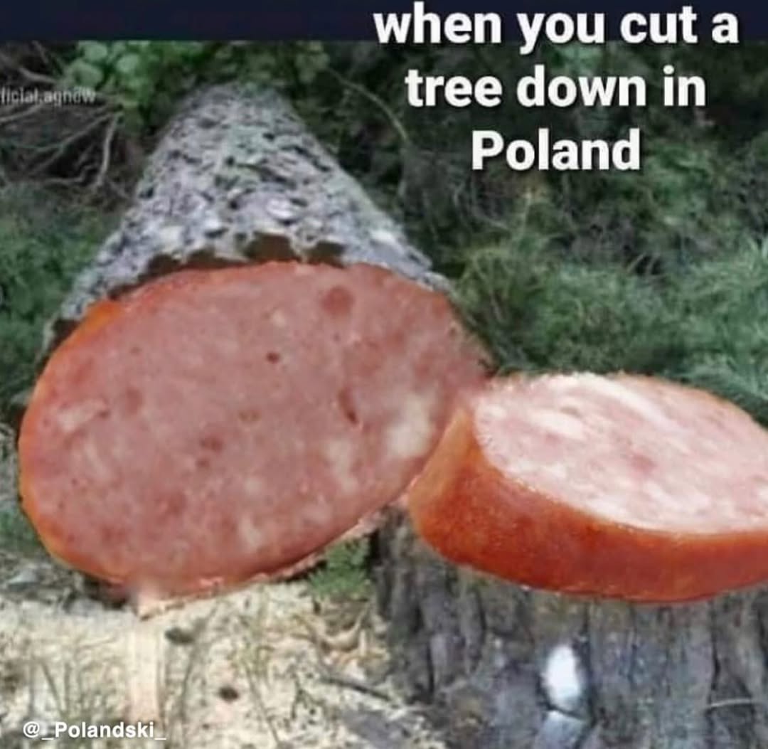 20 Poland Memes So Good, Even the Pope Might Crack a Smile 19 When you cut a tree in poland - Poland Memes