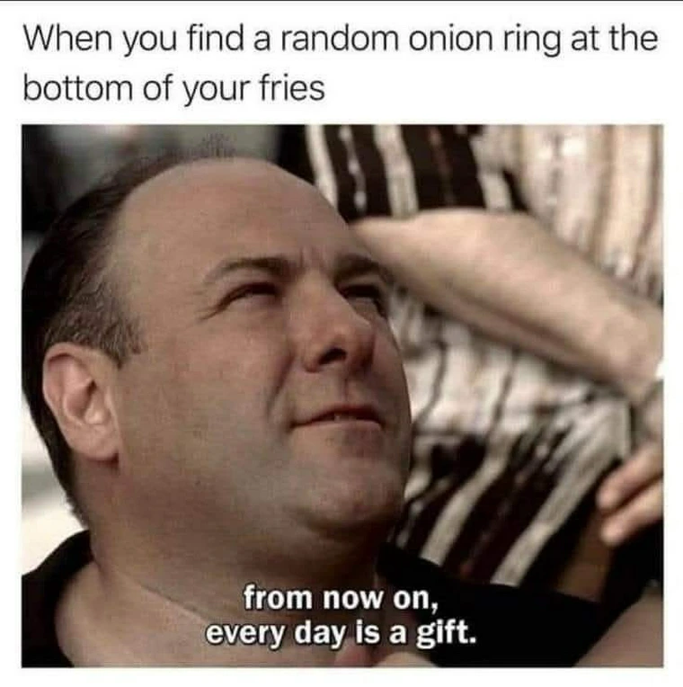 20 Memes That Feel Like a Rollercoaster Without a Seatbelt 20 When you find a random onion ring
