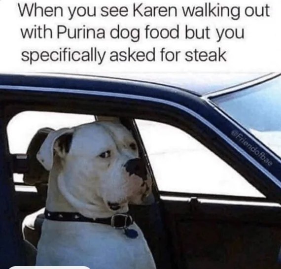 20 Cheeky Dog Memes That Are the Ultimate Mood Boosters 17 When you see karen - Cheeky Dog Memes