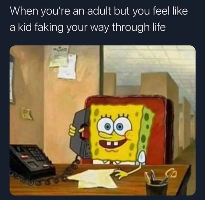 20 Relatable Memes That Prove We're All in This Together 18 When youre an adult - Relatable Memes