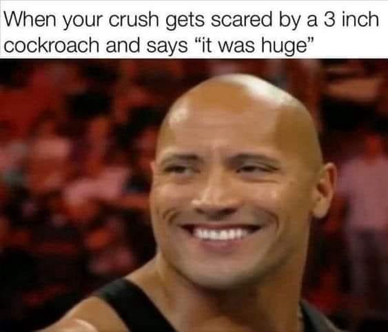 20 Memes Floating in a Sea of Nonsense 18 When youre crush gets scared