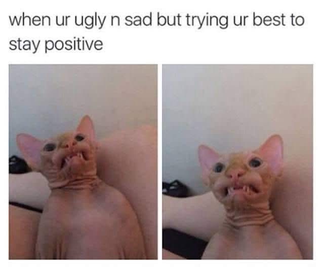 20 Memes for When You’re Too Tired to Make Sense of Anything 21 When youre ugly