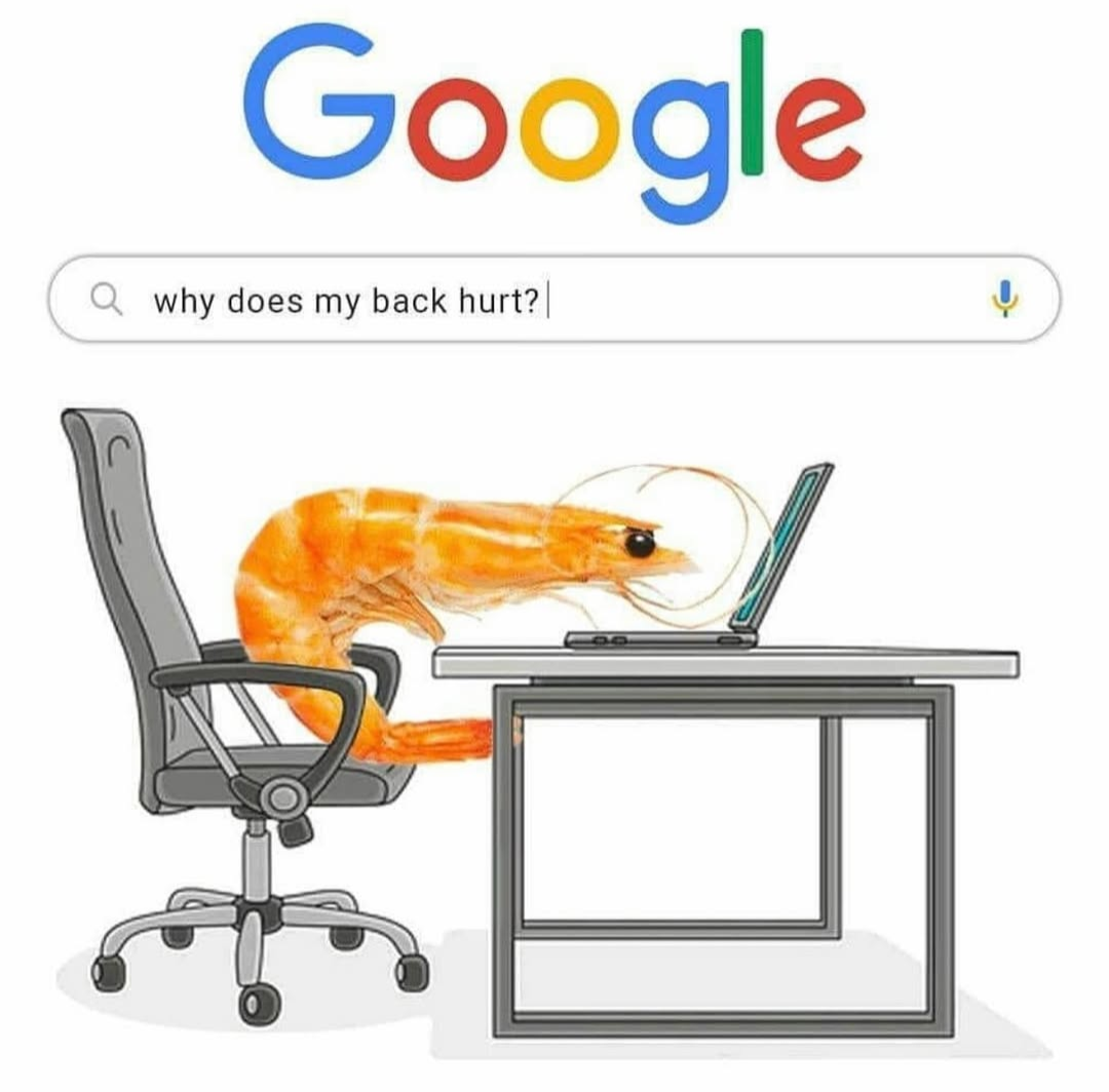 20 Random Memes That Are Unreasonably Funny 20 Why does my back hurt
