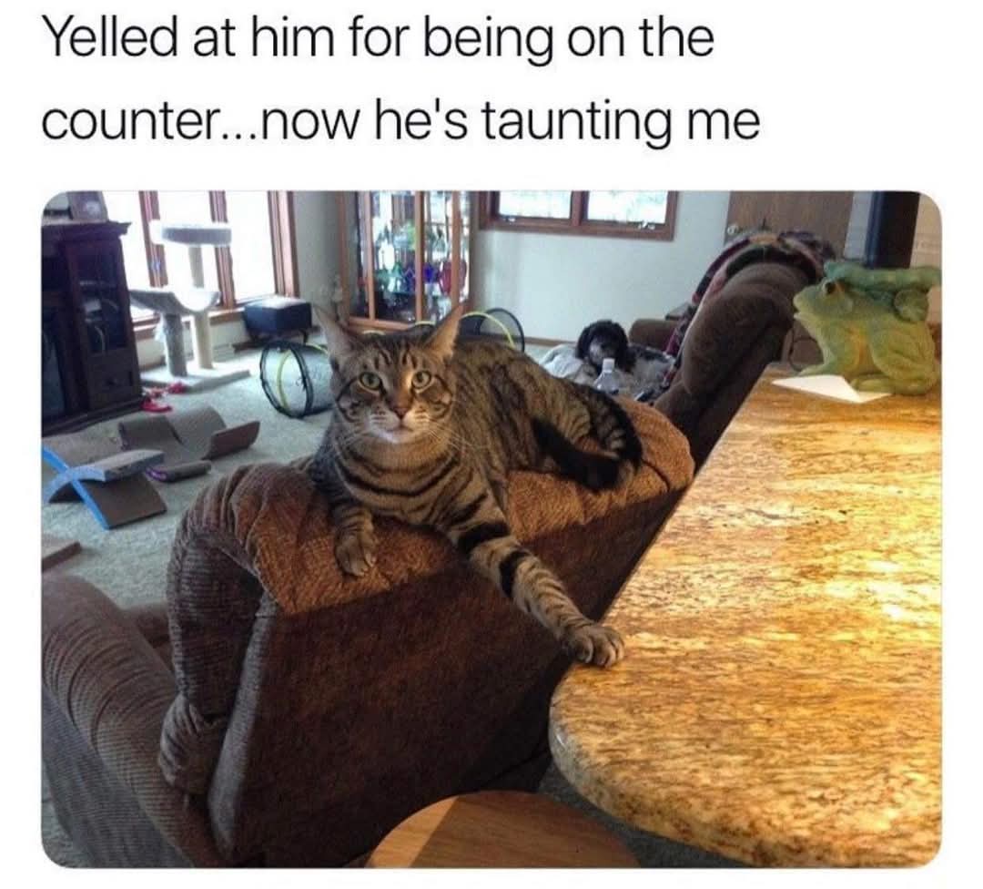 20 Memes That Might Be Deep… or Just Dumb 20 Yelled at him