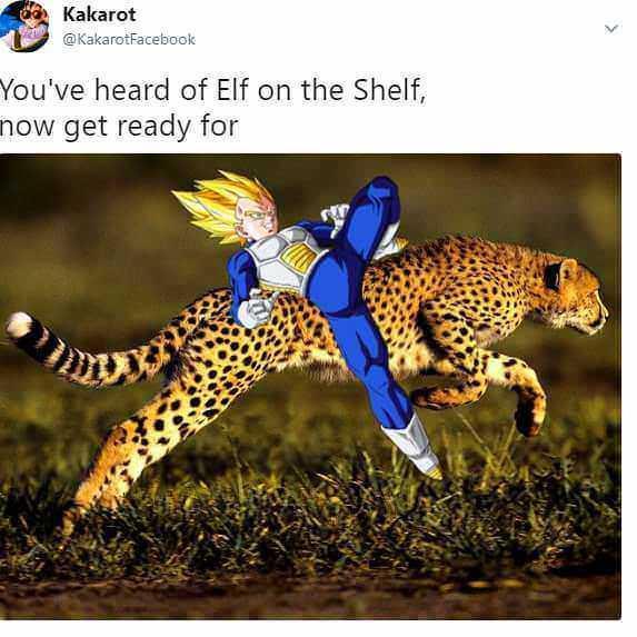 20 Memes So Funny, You’ll Forget Your Troubles (Temporarily) 20 Youve heard of elf on shelf