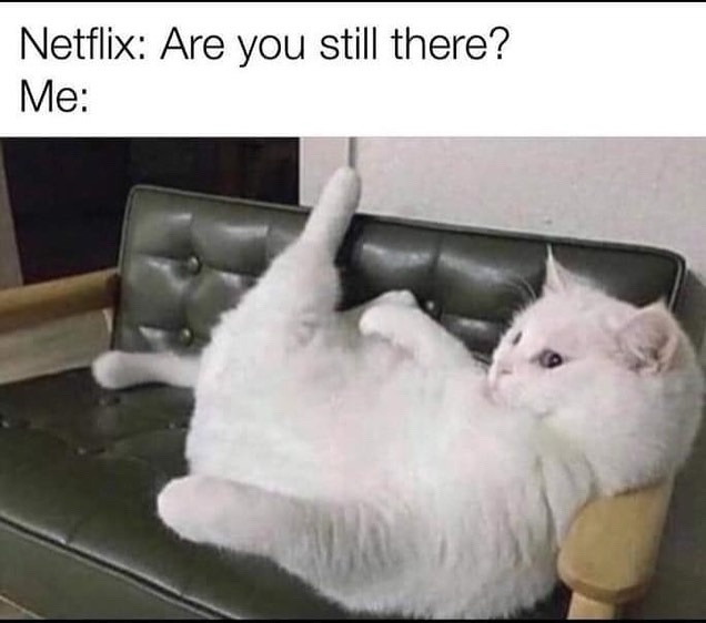 30 Memes That Are the Perfect Excuse to Procrastinate 1 are you still there