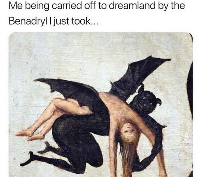 30 Memes That Are the Perfect Excuse to Procrastinate 2 being carried off