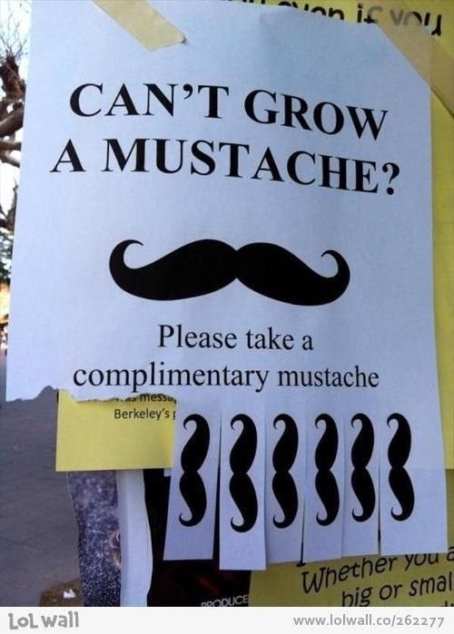 20 Memes That Are the Beautiful Mess Your Brain Needs 2 cant grow moustache