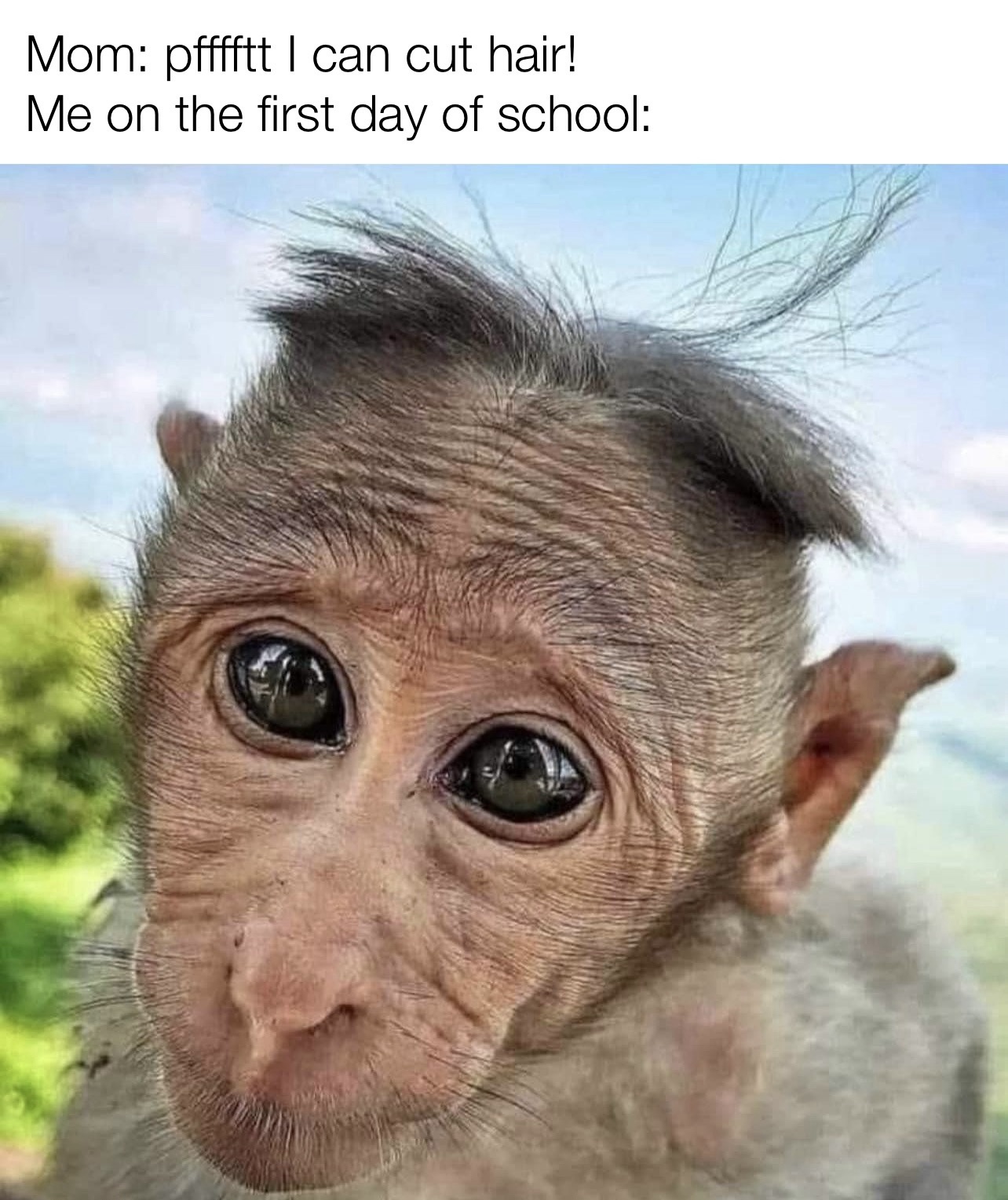 22 Memes That Are Like a Plot Twist for Your Day 6 first day of school