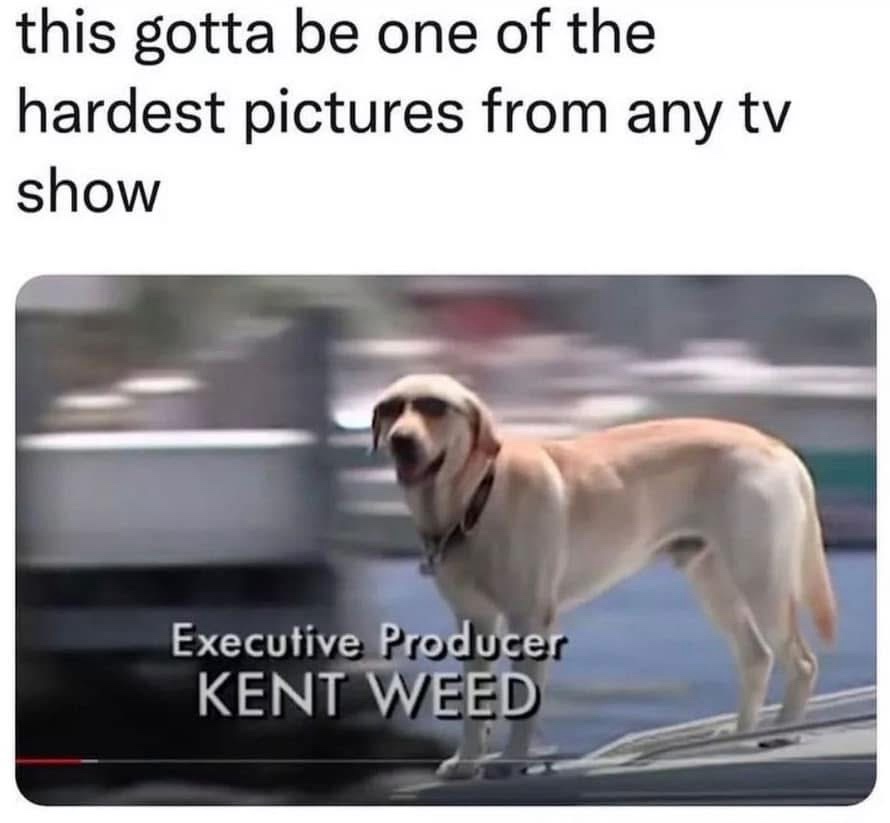 20 Memes That Taste Like Snacks for Your Brain 5 hardest pictures