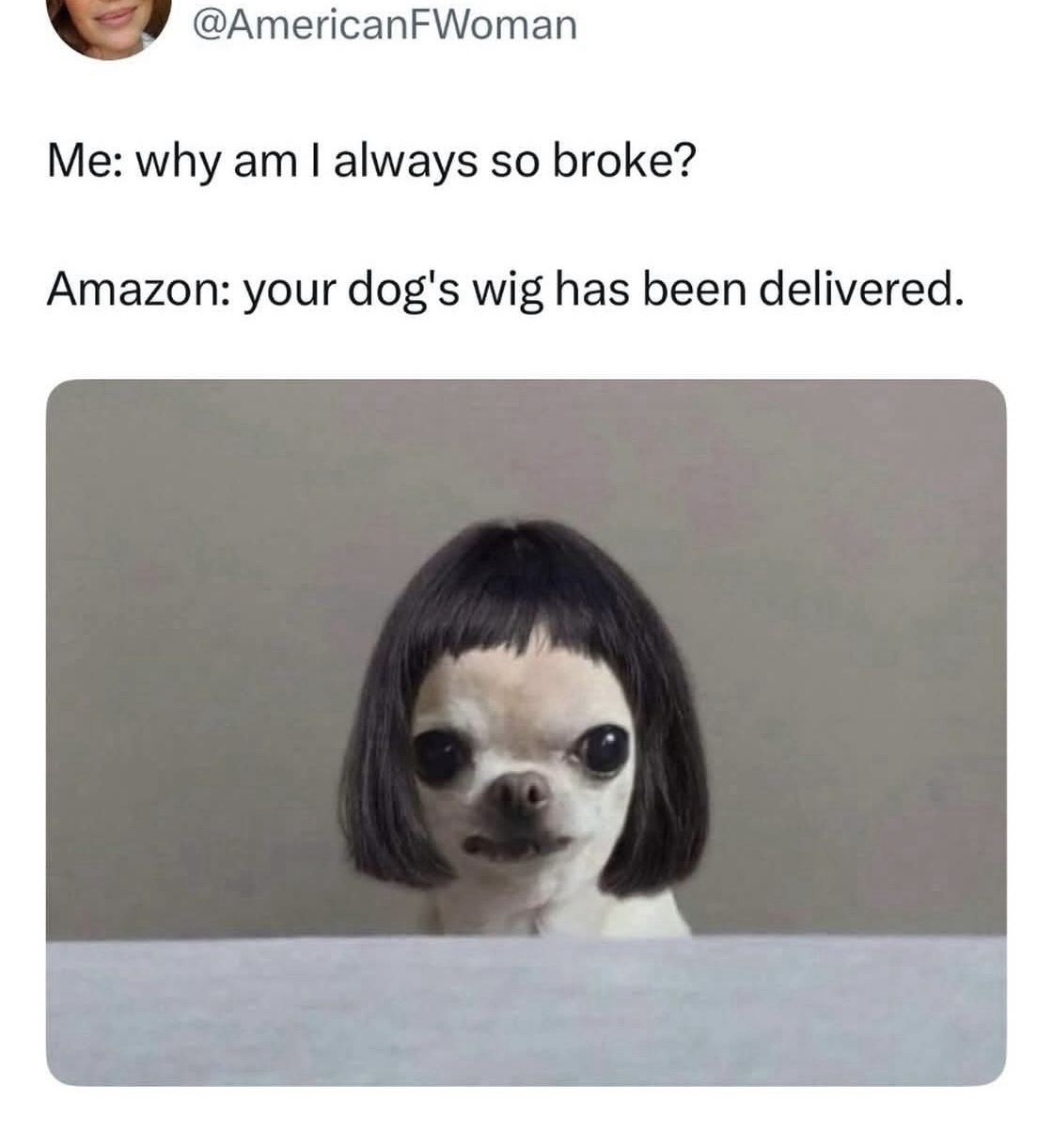 24 Memes So Funny, You’ll Forget Your Troubles (Temporarily) 22 hy am I broke