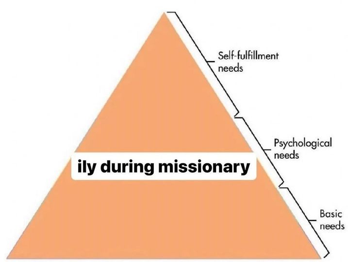 20 Faintly Dirty Memes That Walk the Perfect Line of Naughty 6 ily during missionary