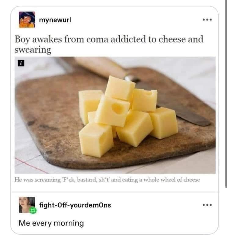 20 Memes for When You’re Too Tired to Make Sense of Anything 9 me every morning