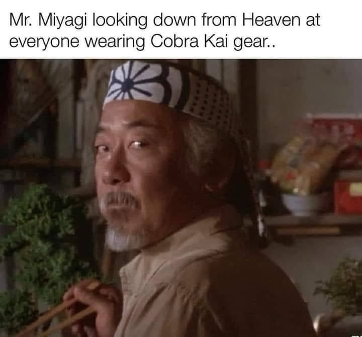 15 Memes That Are More Unpredictable Than Your Wi-Fi Signal 8 miyagi looking down