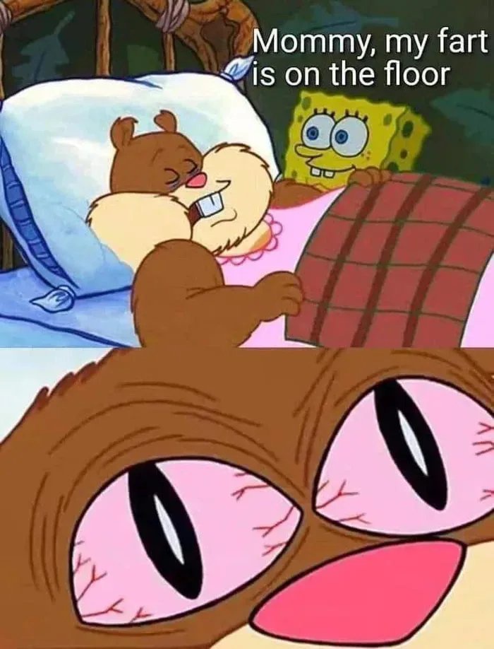 20 Memes That Are the Soundtrack to a World That Doesn’t Make Sense 8 my fart
