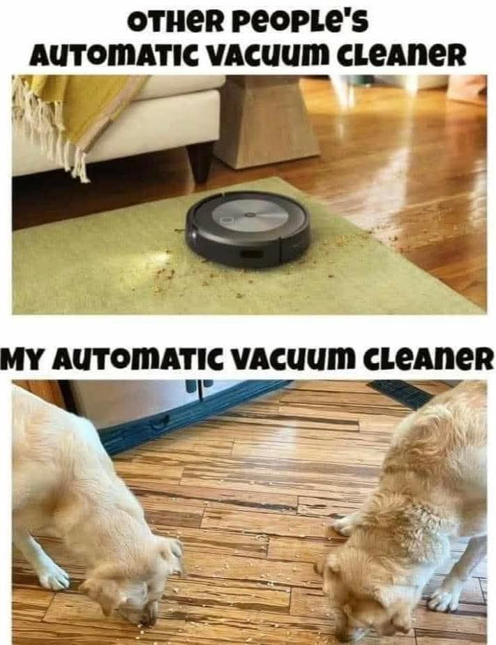 25 Hilarious Dog Memes that Fetch Laughter 23 my vaccum cleaner
