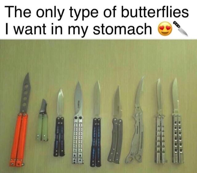 15 Memes That Are More Unpredictable Than Your Wi-Fi Signal 9 only type of butterflies