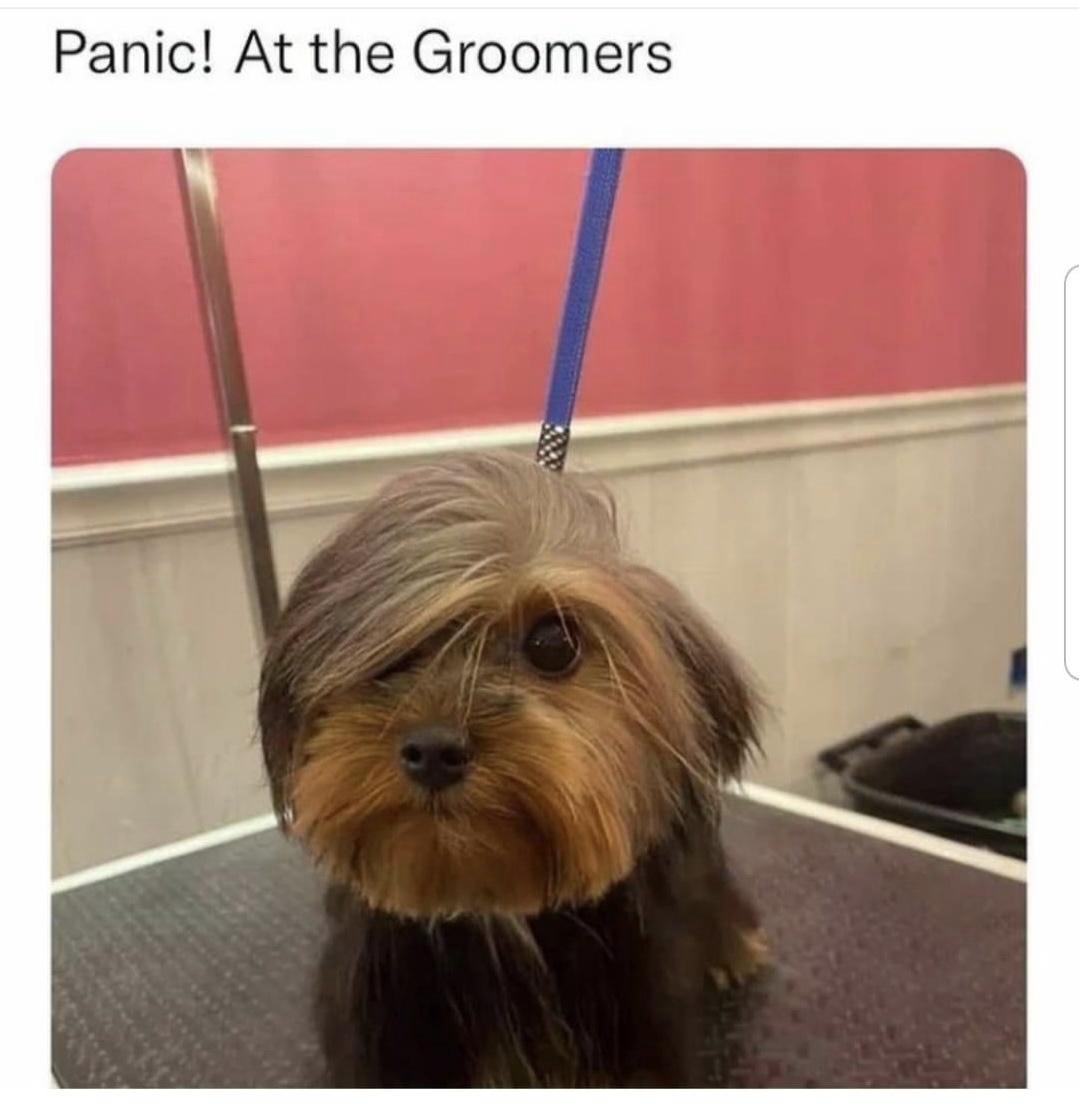23 Memes That Have No Beginning, Only Endings 16 panic