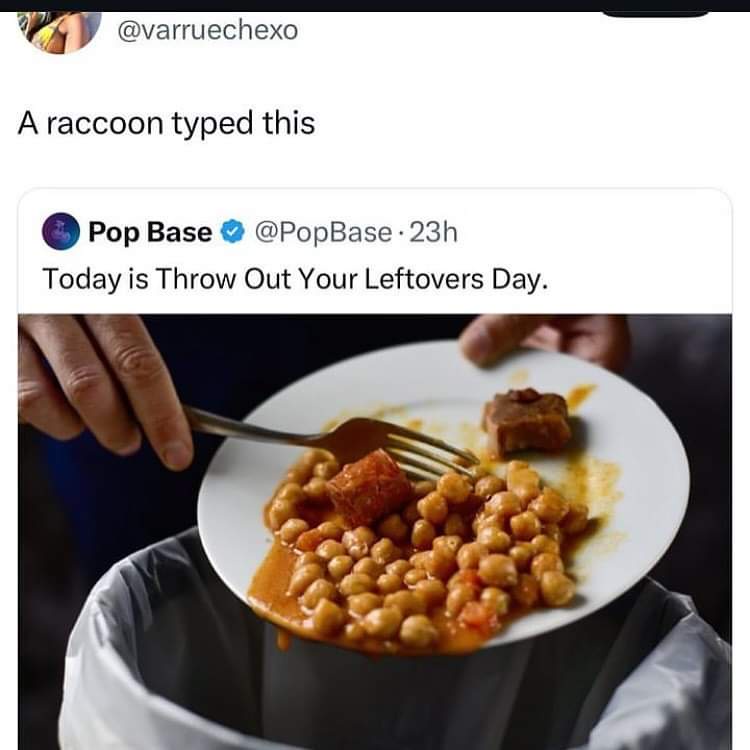 20 Random Memes to Cure Your Boredom in Record Time 11 racoon typed this