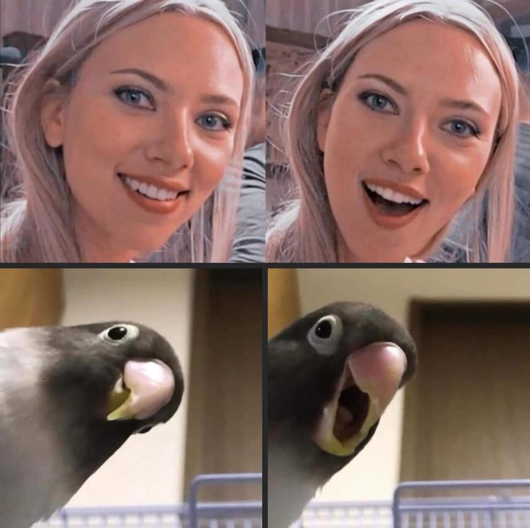 15 Memes That Are Both Chaos and Comfort 12 scarlette