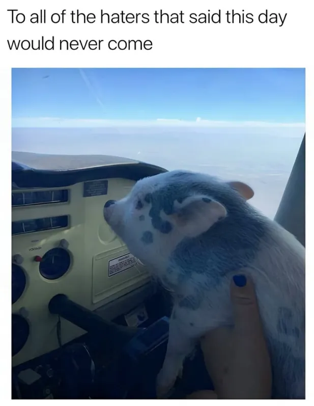 to all of the haters