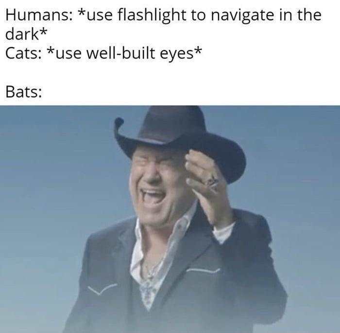 23 Memes That Are Like Abstract Art for Your Brain 19 use flashlight