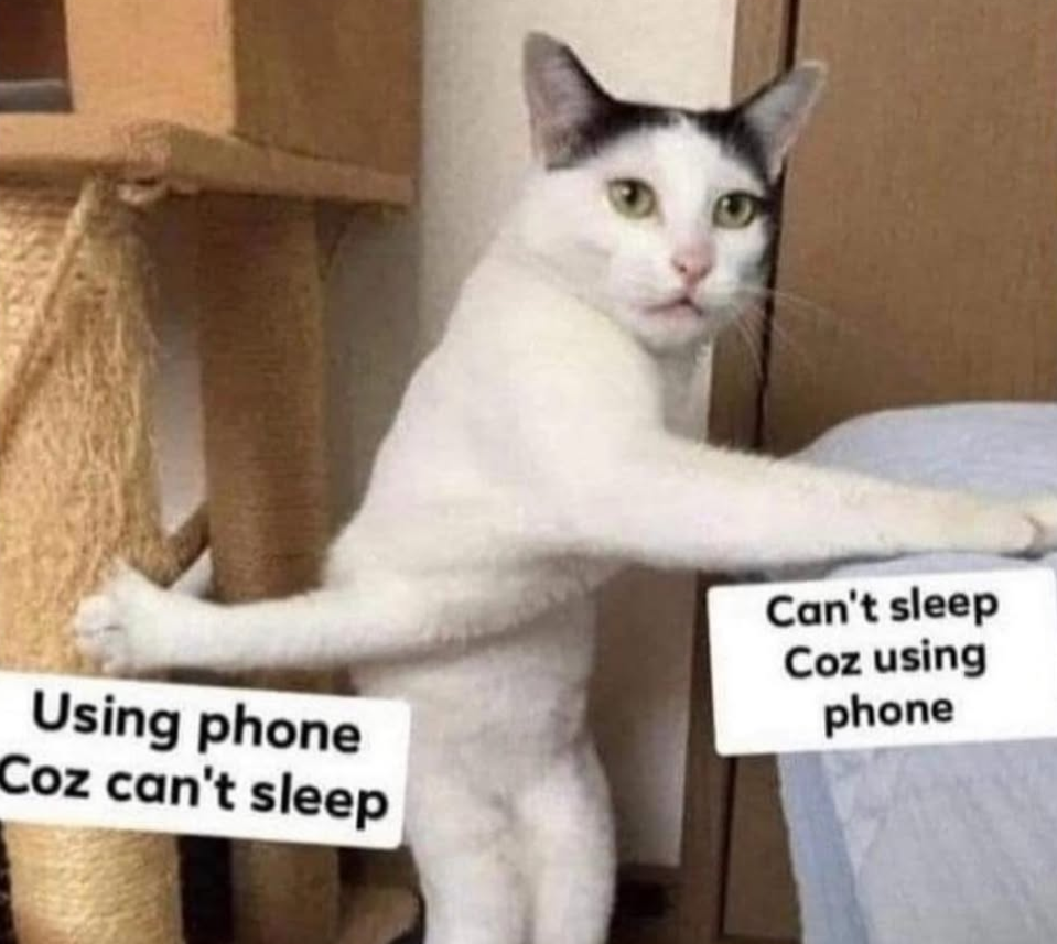 20 Random Memes That Are Unreasonably Funny 16 using phone