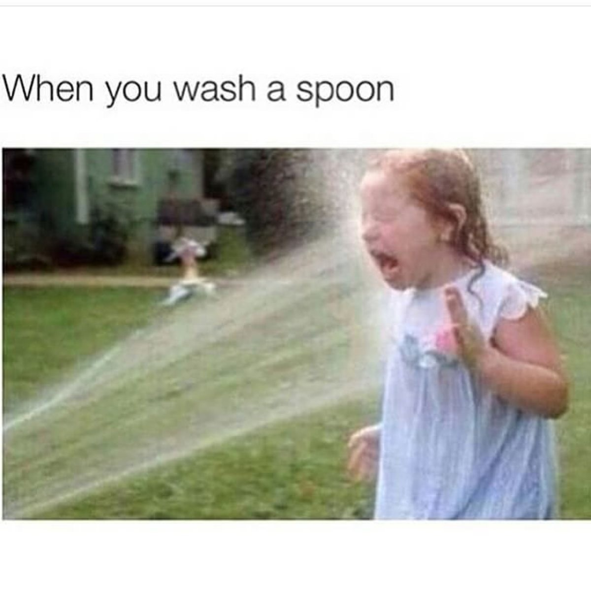 25 Memes That Are the Answer to a Question Nobody Asked 25 wash a spoom