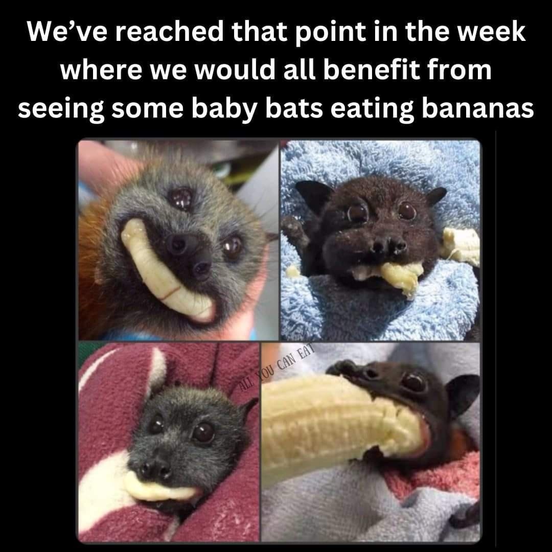20 Memes You Need to See Before You Can Go on With Your Day 19 weve reached