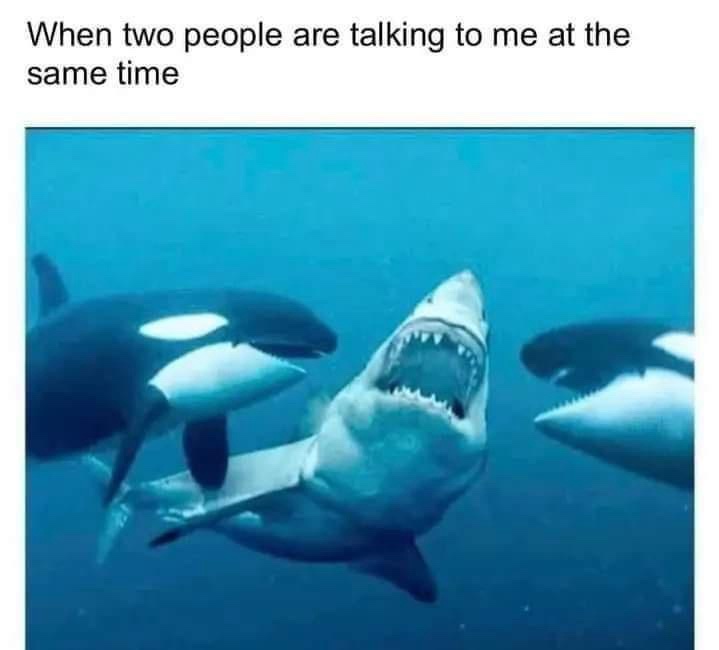 20 Memes That Might Be Deep… or Just Dumb 19 wo people are talking to me