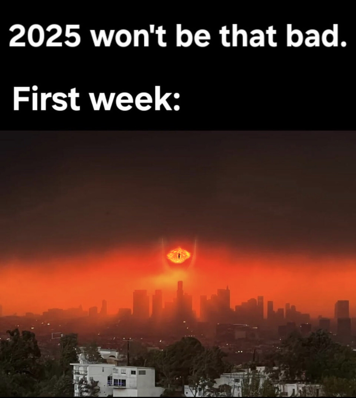 20 Memes That Are Too Random to Be Made Up 2 2025 wont be that bad