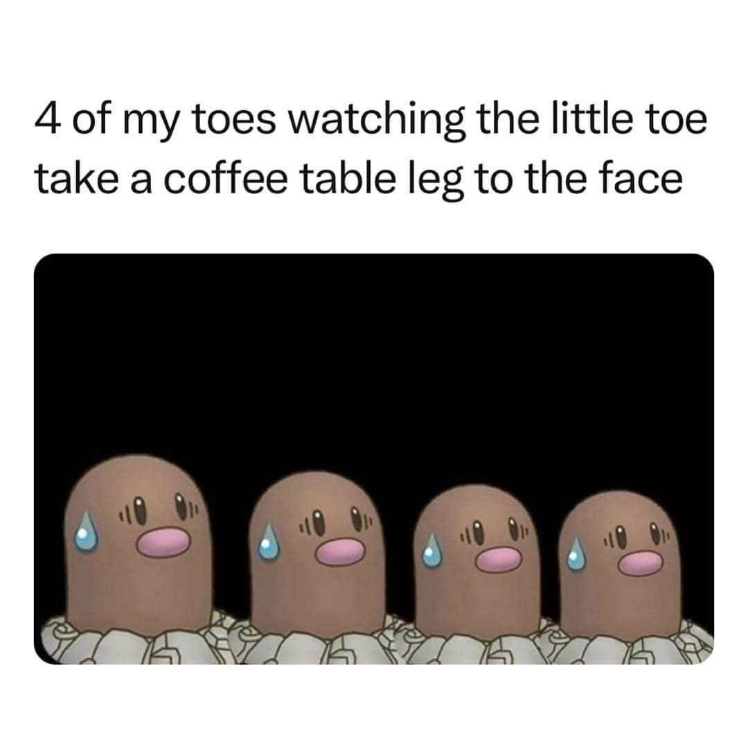 20 Bottom Shelf Memes that are out of this World 1 4 of my toes