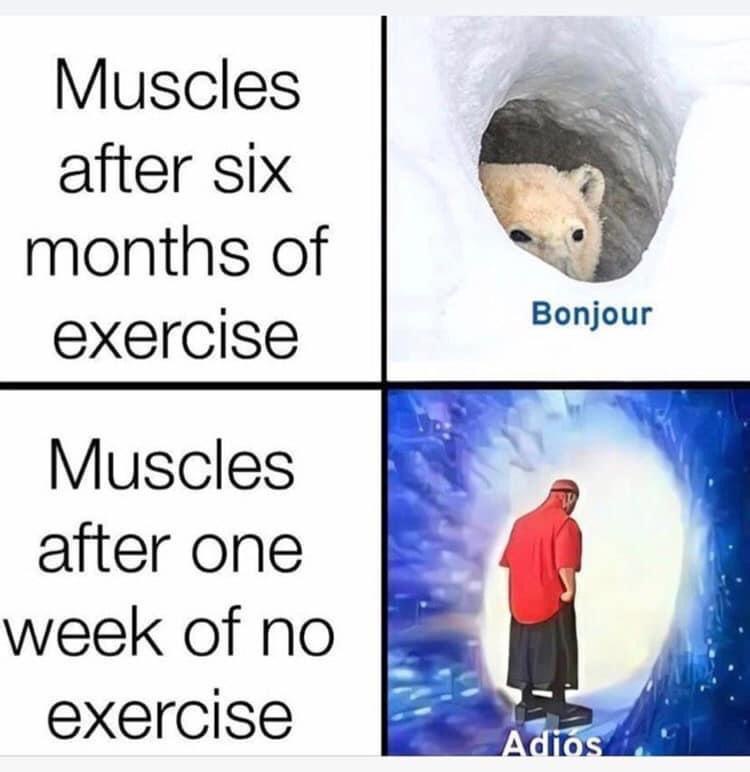 6 months of exercise