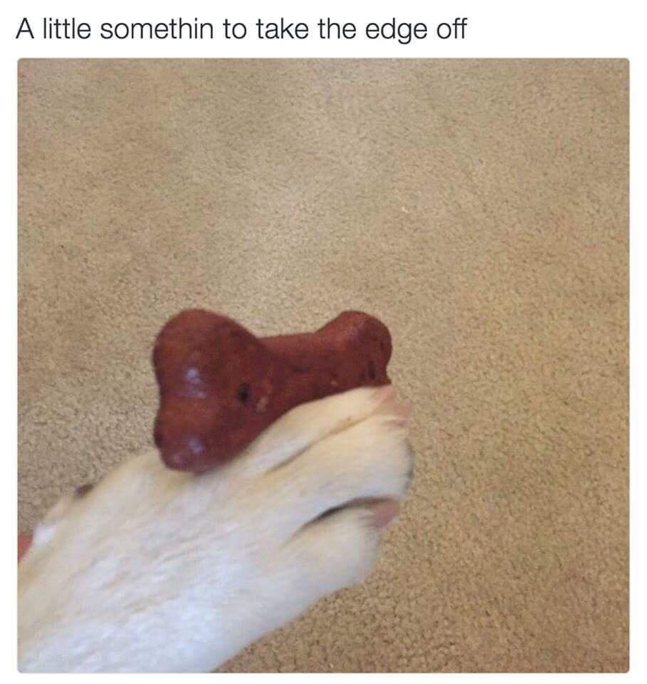 20 Memes That Are So Unpredictable, They Might Just Be Magic 1 A little something