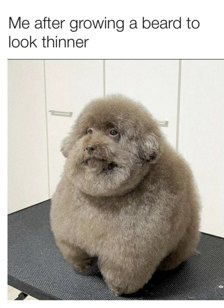 20 Random Memes That Feel Weirdly Personal 3 After growing a beard