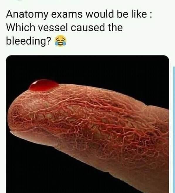 20 Best Science Memes That’ll Blow Your Mind (No Lab Required) 20 Anatomy exams