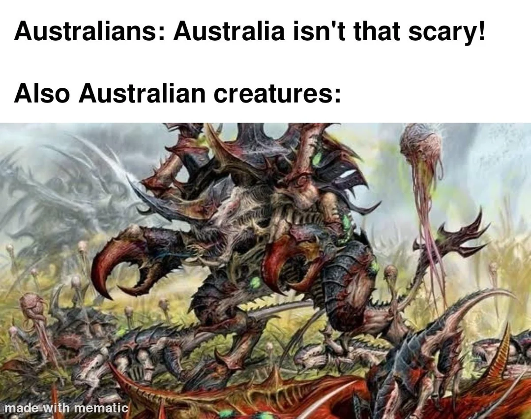 25 Bizarre "Meanwhile In Australia Memes" 24 Australia isnt scary