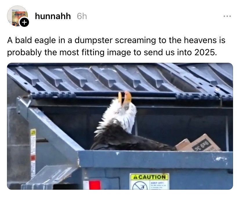 20 Memes That Smell Like Chaos and Taste Like Laughter 2 Bald eagle in dumpster