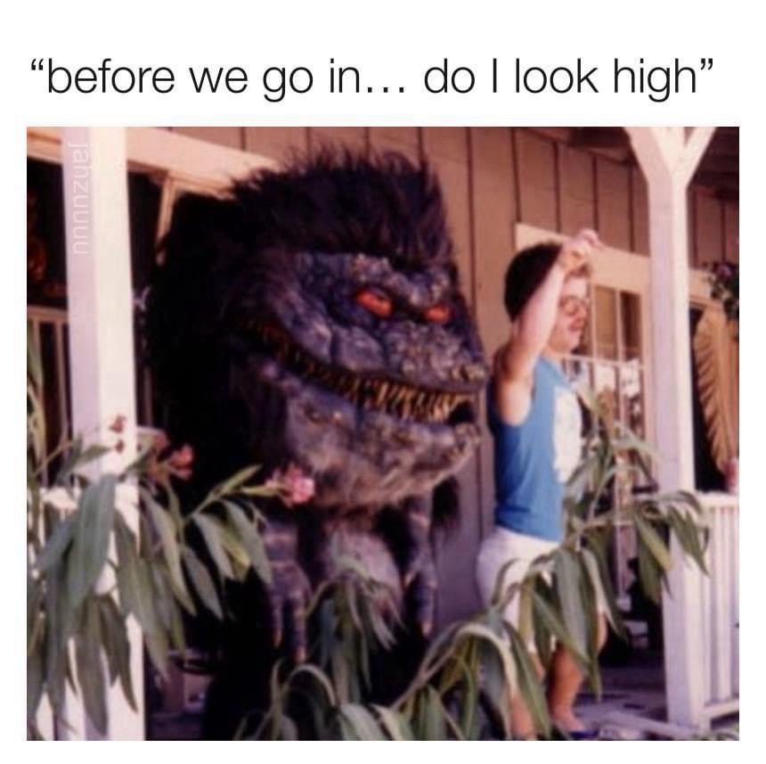 20 Memes That Smell Like Chaos and Taste Like Laughter 3 Before we go in