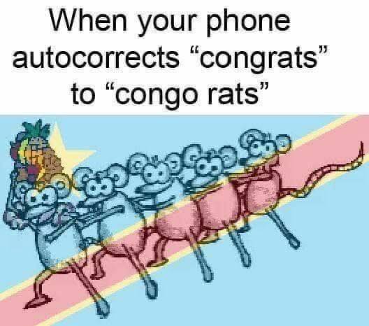 35 Illogical Memes That Make Too Much Sense 31 Congo rats